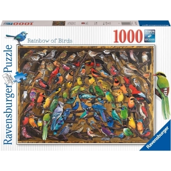 arcobaleno di uccelli - puzzle 1000 pezzi