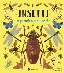 insetti. a grandezza naturale. ediz. a colori