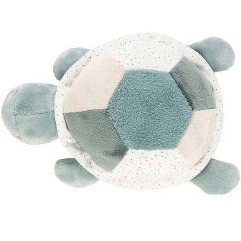 peluche attivita - tartaruga verde