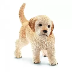 golden retriever cucciolo