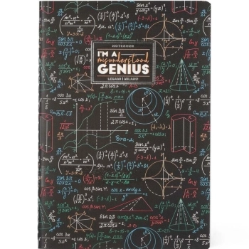 quaderno a righe a5 - genius