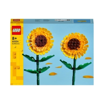 40524 - girasoli