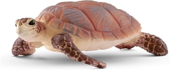 tartaruga embricata