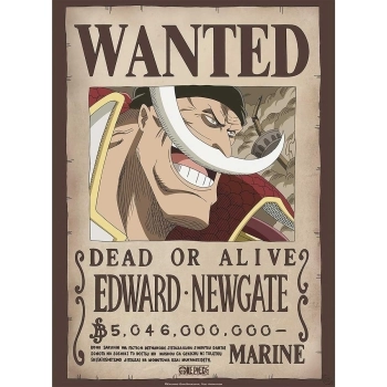 one piece - poster maxi 91,5x61cm - wanted whitebeard