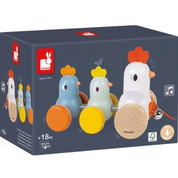 gallina e pulcini da trainare