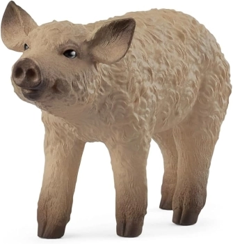 maialino mangalica