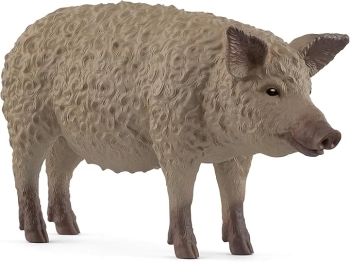 maiale mangalica