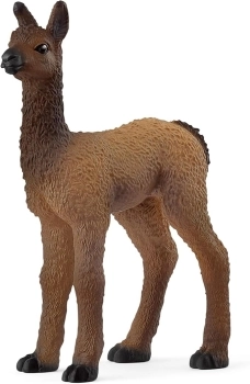 cucciolo di lama