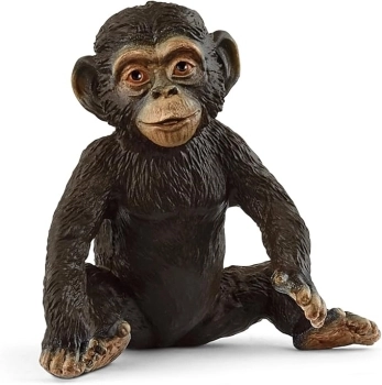 cucciolo di chimpanzee