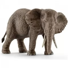 femmina di elefante africano