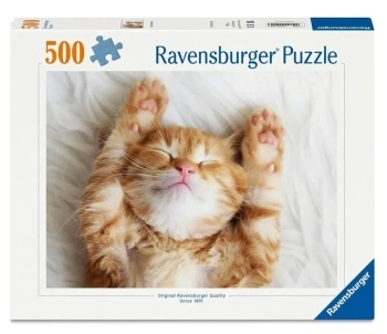 cucciolo di gatto - puzzle 500 pezzi
