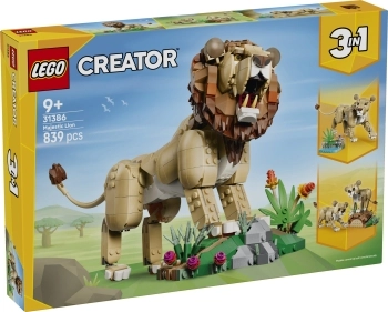 31386 - animali selvatici - leone maestoso