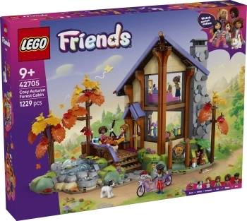 42705 - baita nella foresta autunnale
