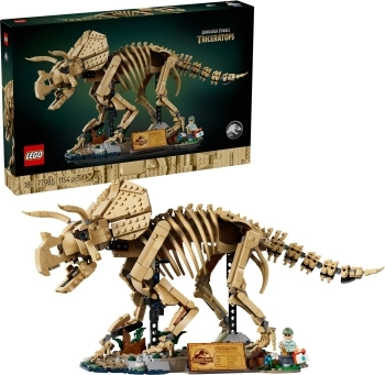 77985 - fossili di dinosauro: triceratopo