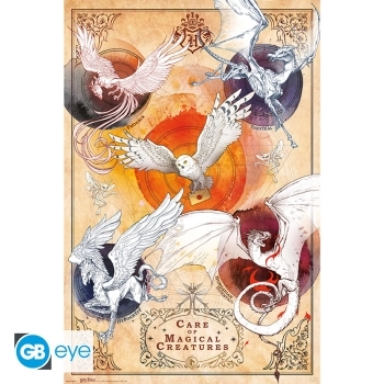 harry potter - poster maxi 91,5x61cm - magical creatures