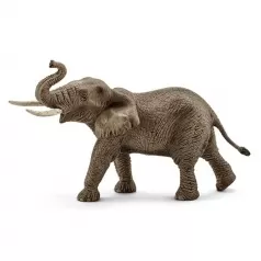 elefante africano maschio
